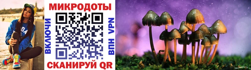 Псилоцибиновые грибы прущие грибы  Камызяк 